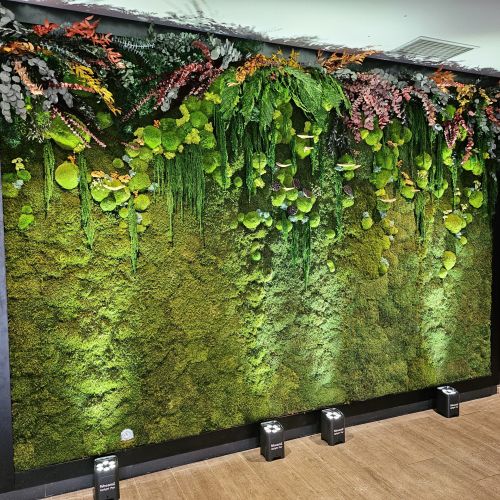 L'espace GLD murs végétalisés
